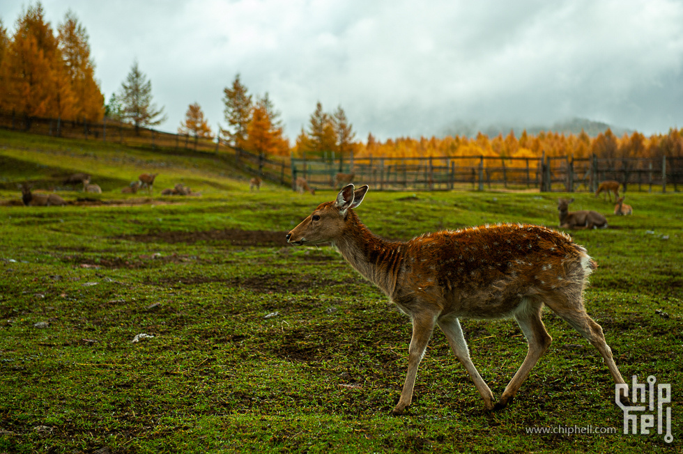 DSC_4052.jpg