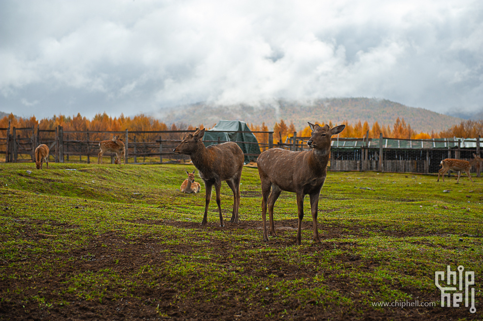 DSC_4065.jpg