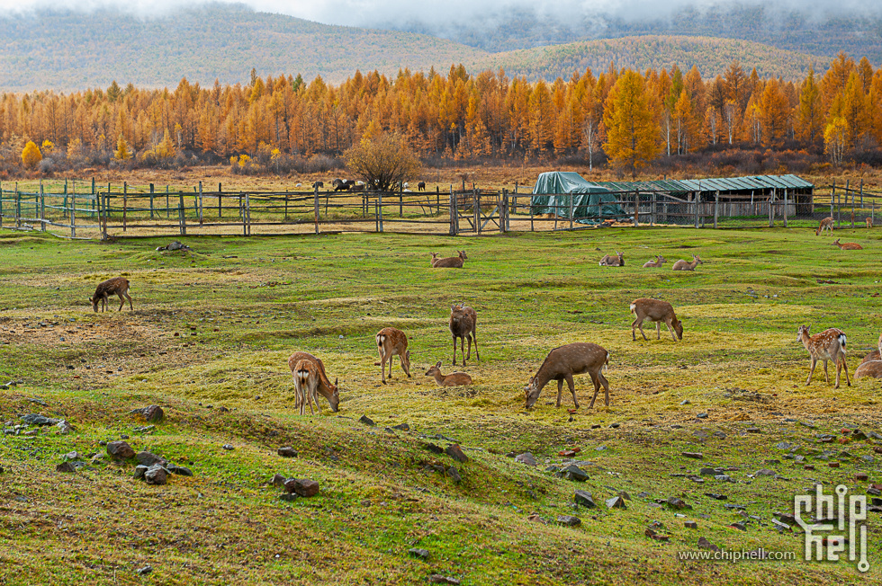 DSC_4078.jpg