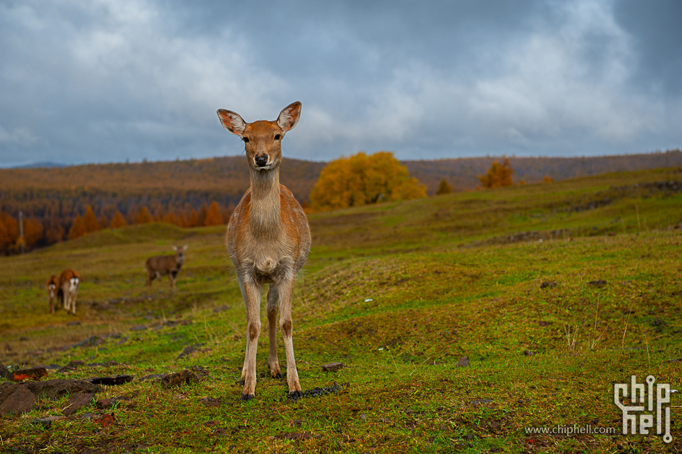 DSC_4076.jpg