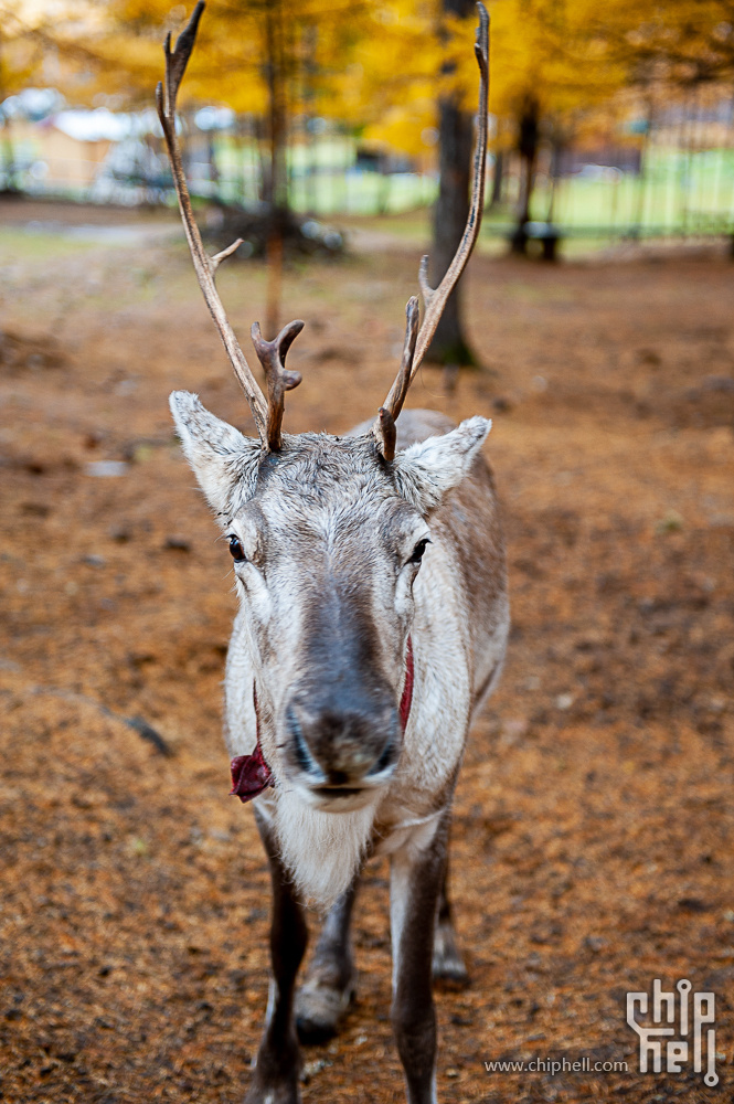 DSC_4099.jpg