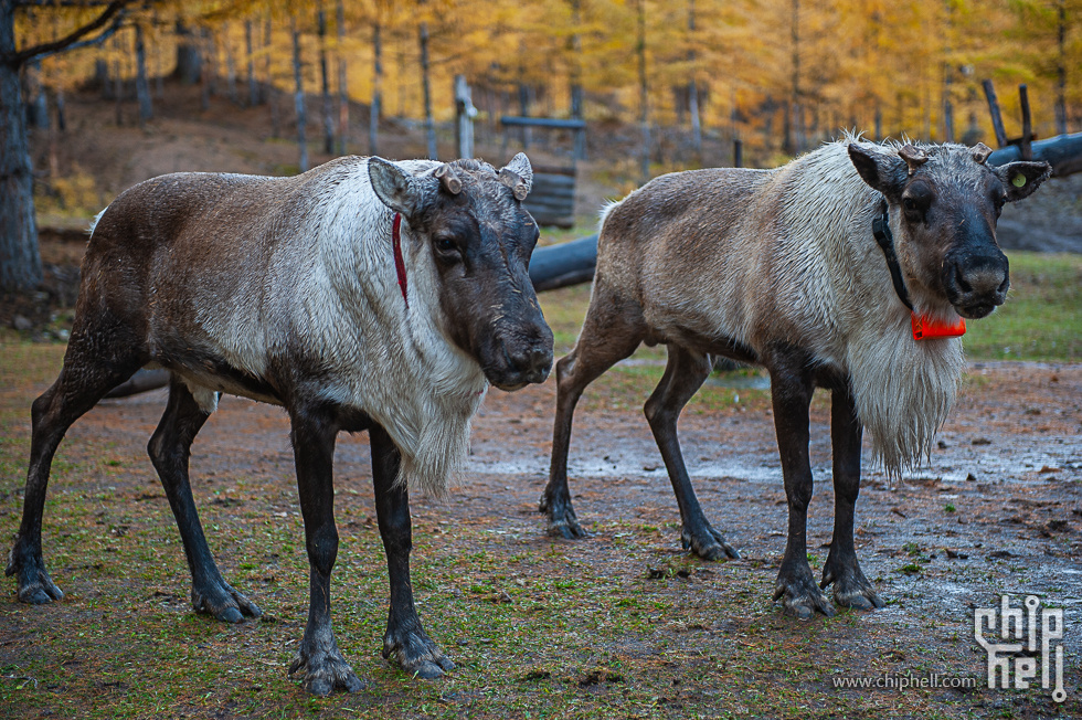 DSC_4096.jpg