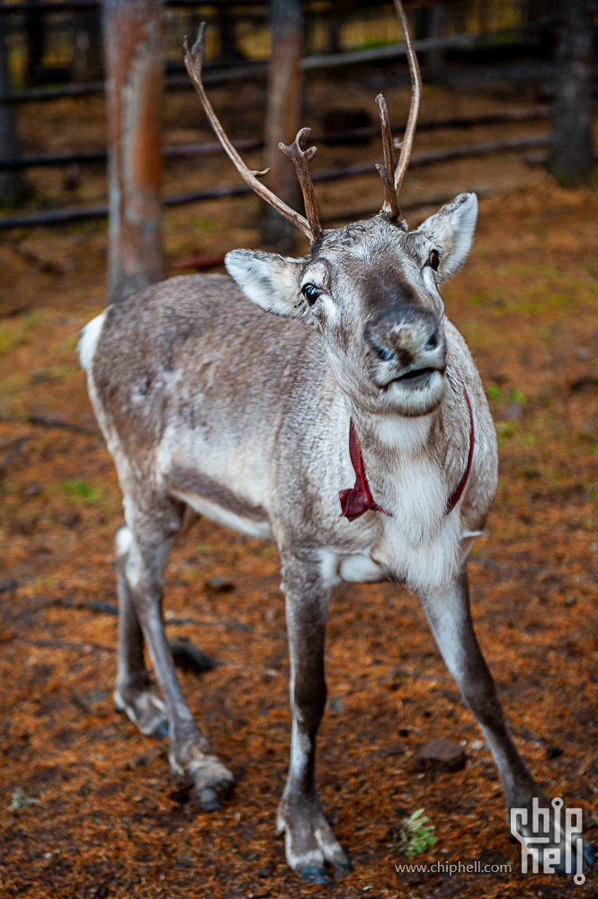DSC_4104.jpg
