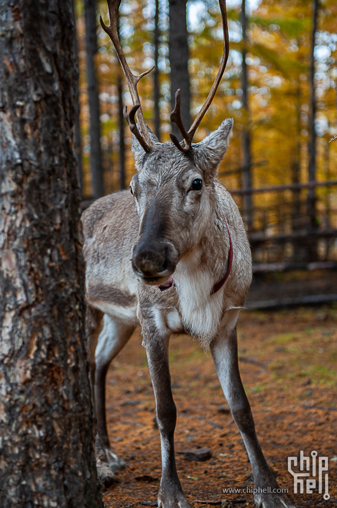 DSC_4106.jpg