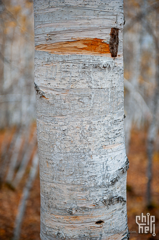 DSC_4139.jpg