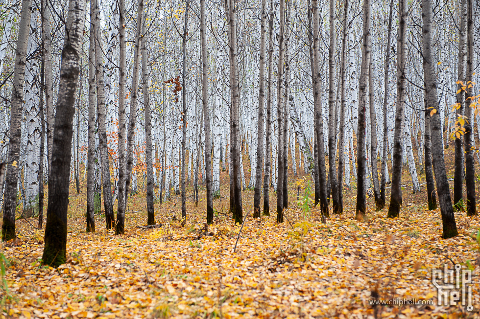 DSC_4147.jpg