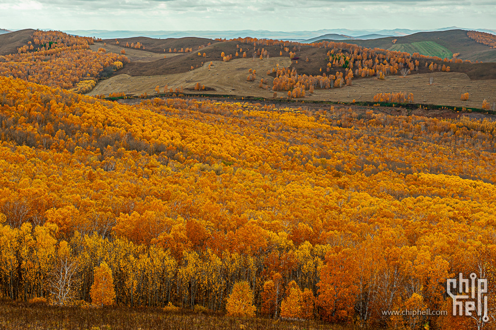 DSC_4162.jpg