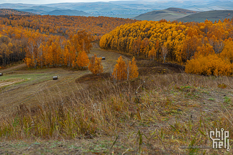 DSC_4163.jpg