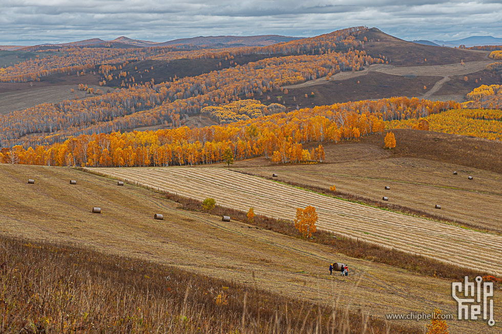 DSC_4165.jpg