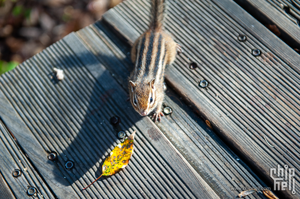 DSC_4192.jpg