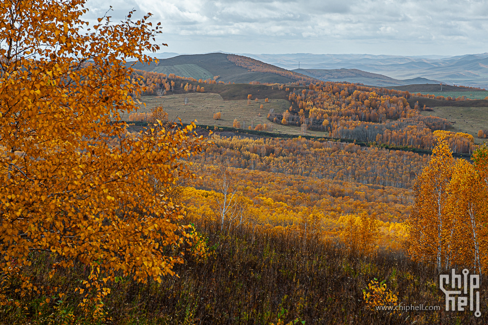 DSC_4182.jpg