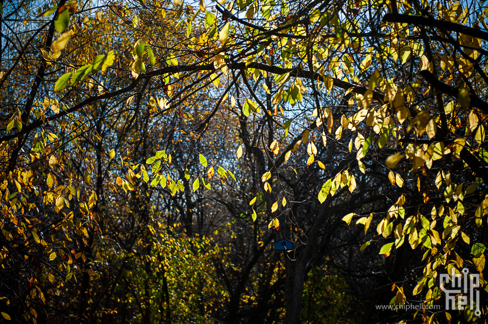 DSC_4199.jpg