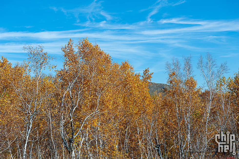 DSC_4237.jpg