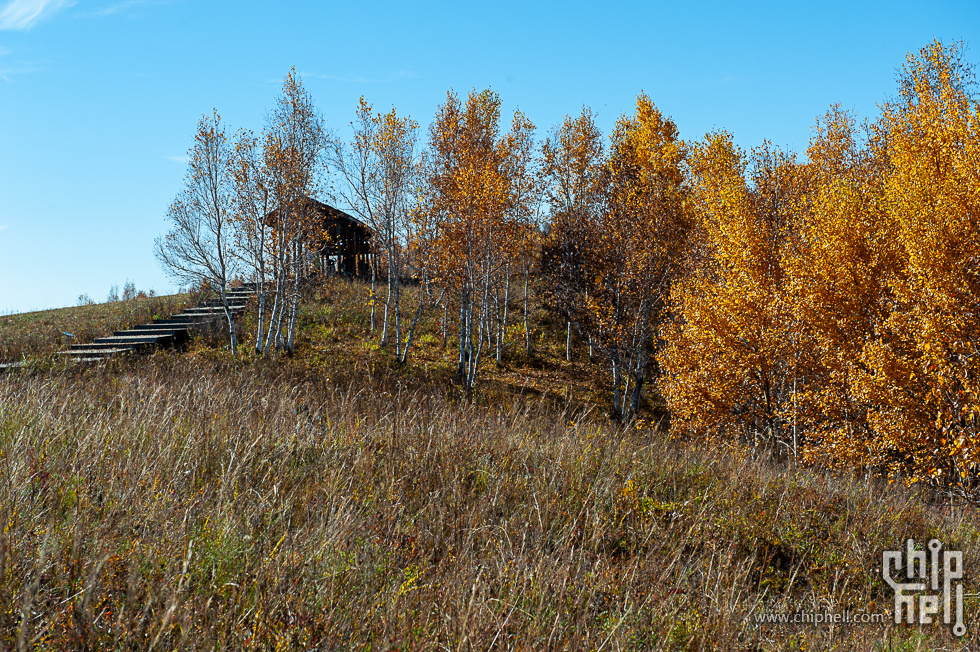 DSC_4242.jpg