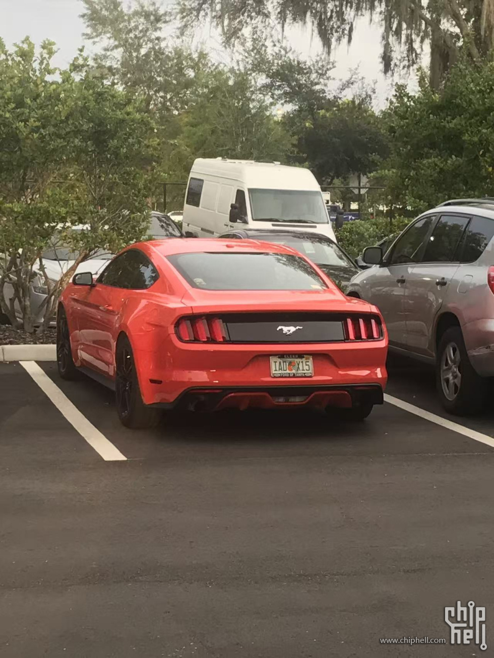 mustang尾部.jpg