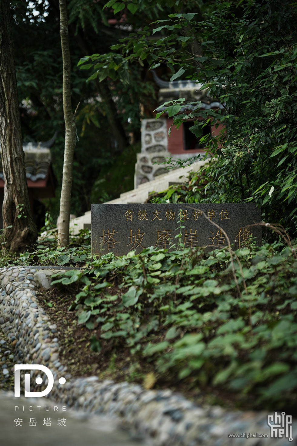 塔坡 (2).JPG