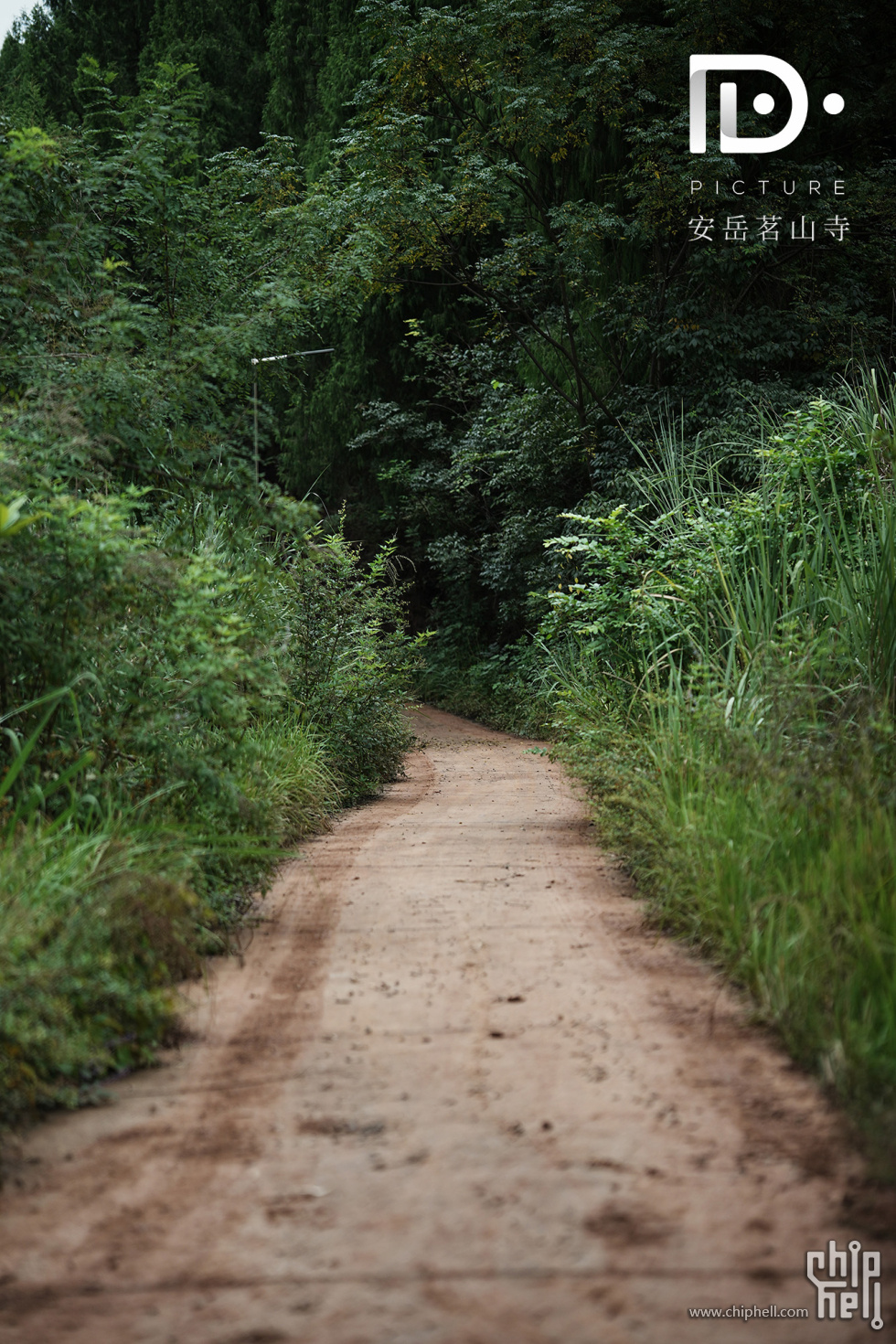 走错路的茗山寺 (7).JPG