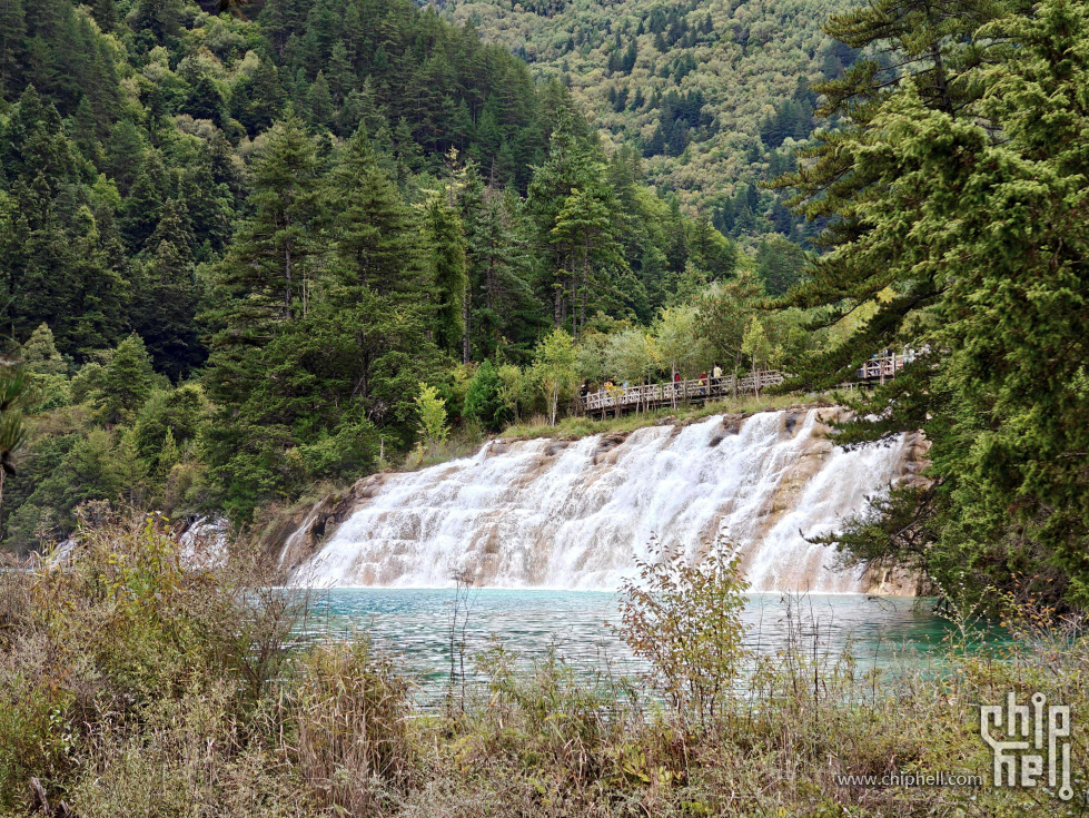 IMG_20251004_175637.jpg