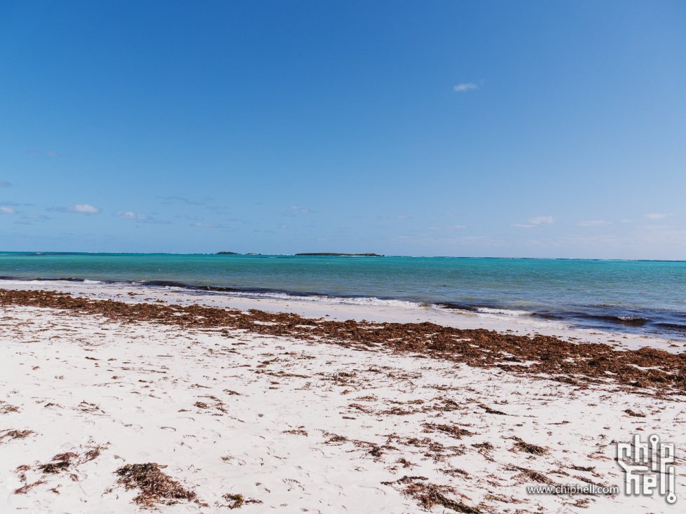 DSC05459.jpg
