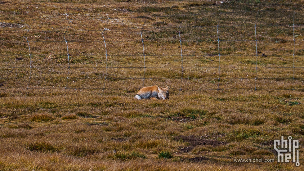 DSC04557.jpg
