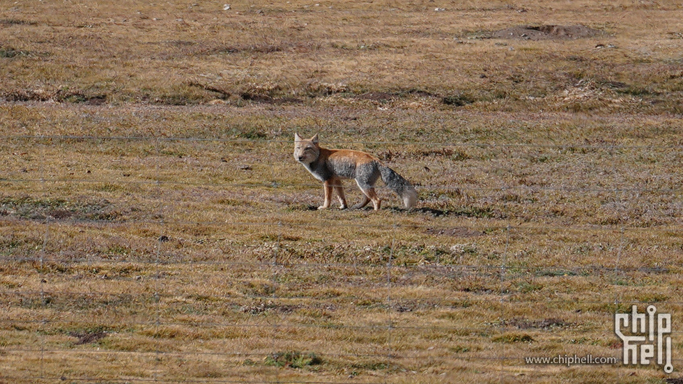 DSC04593 (2).jpg