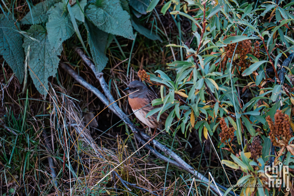 DSC04764.jpg
