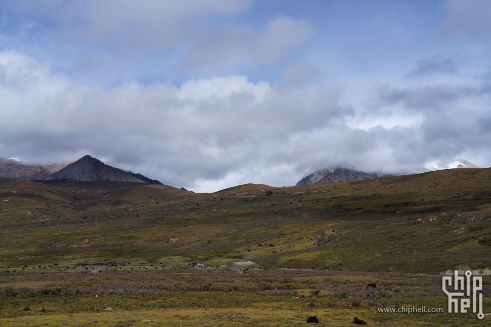 DSC00226.JPG