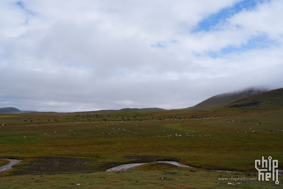 DSC00533.JPG