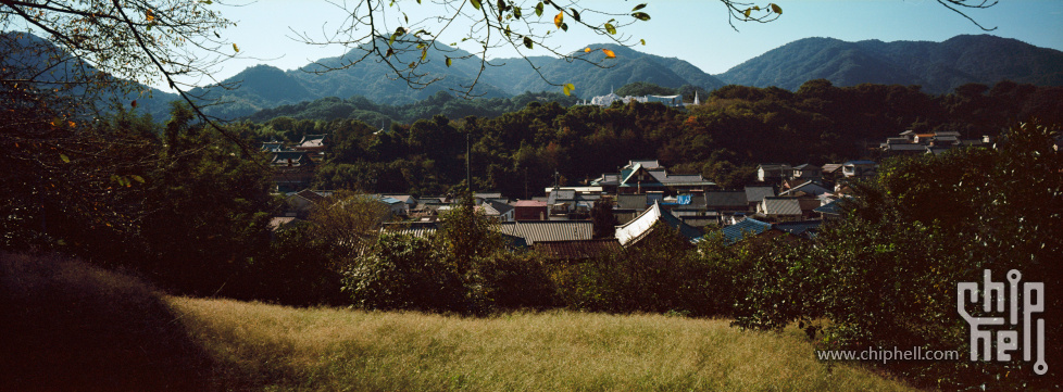 202309_japan_ektar_04.jpg