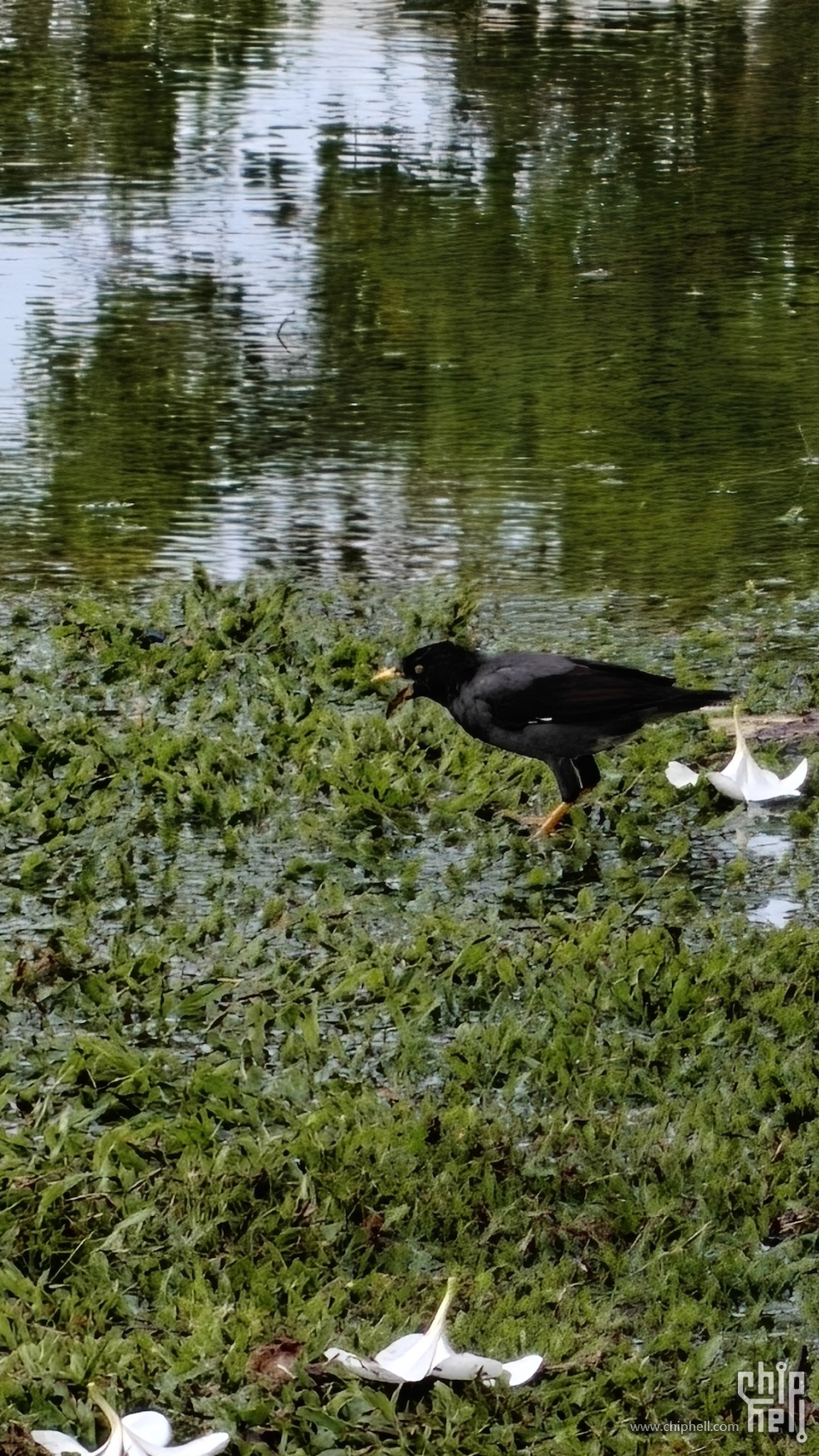 IMG20250929104246.jpg
