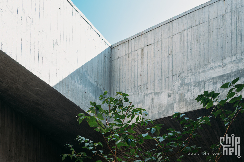 _CTK8135-已增强-降噪.jpg