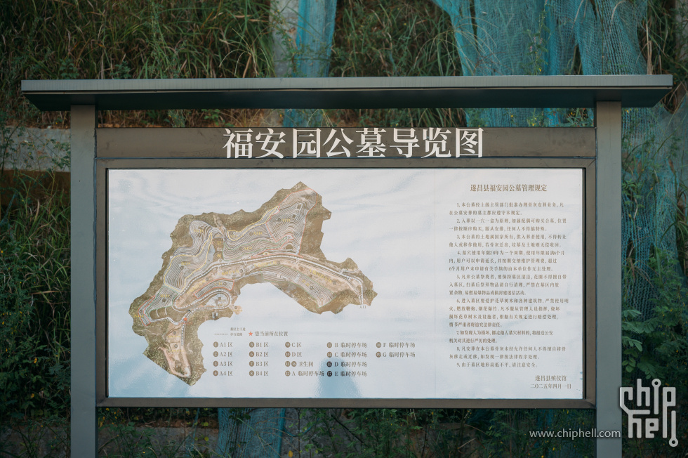 _CTK8194.jpg
