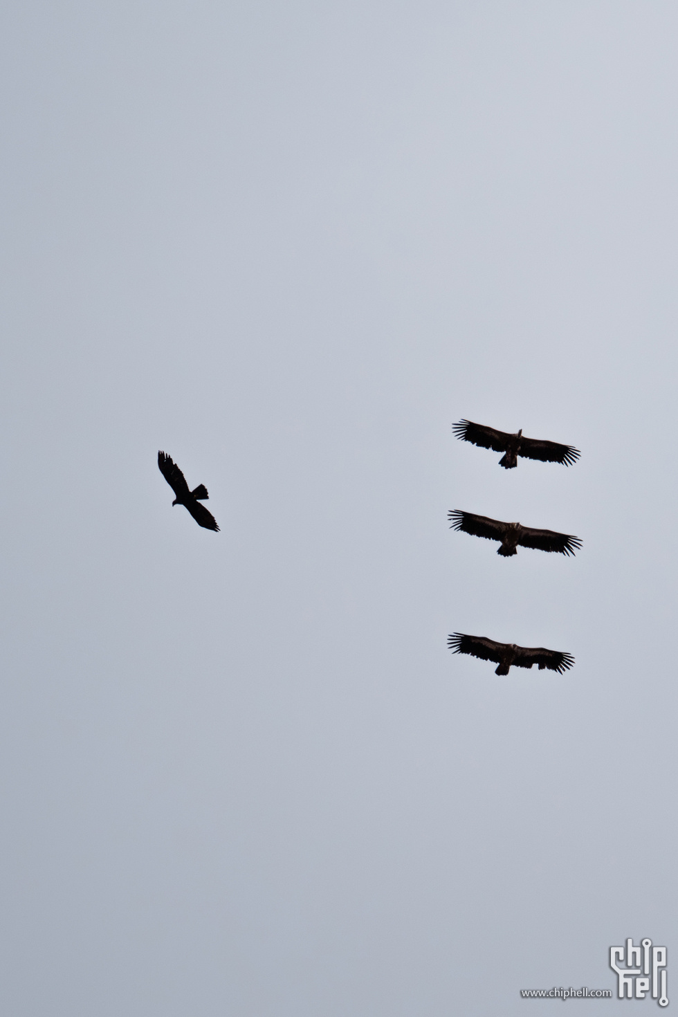 DSC06172.jpg