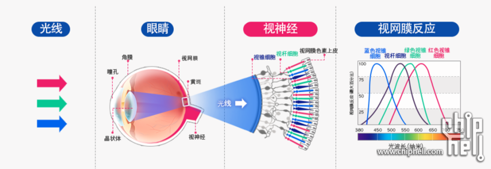 图片31.png