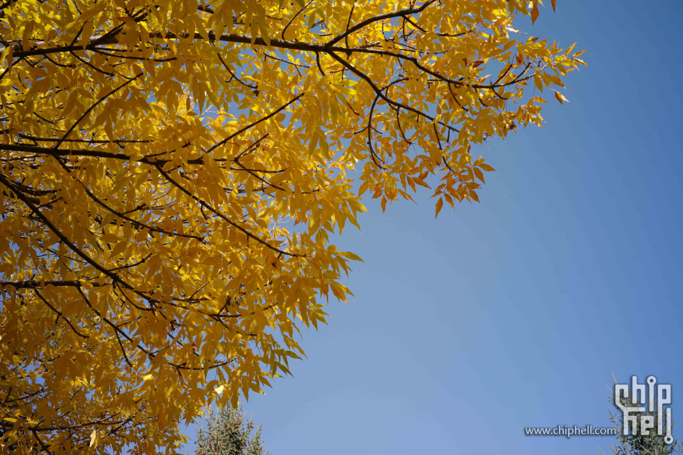 L1004151.jpg