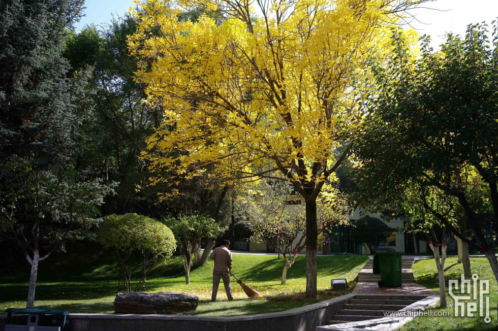 L1004153_1.jpg