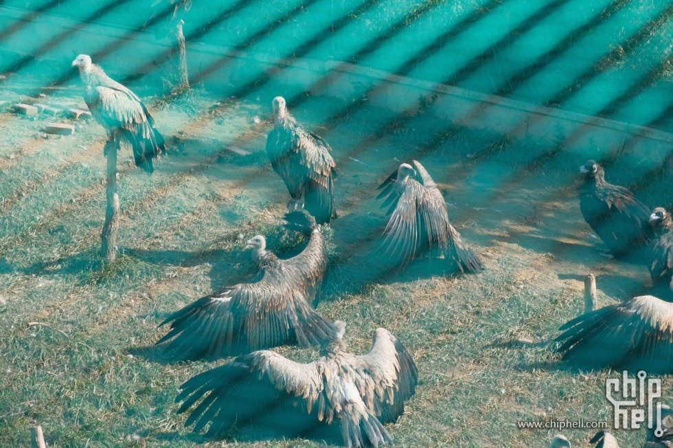 DSCF1333.jpg