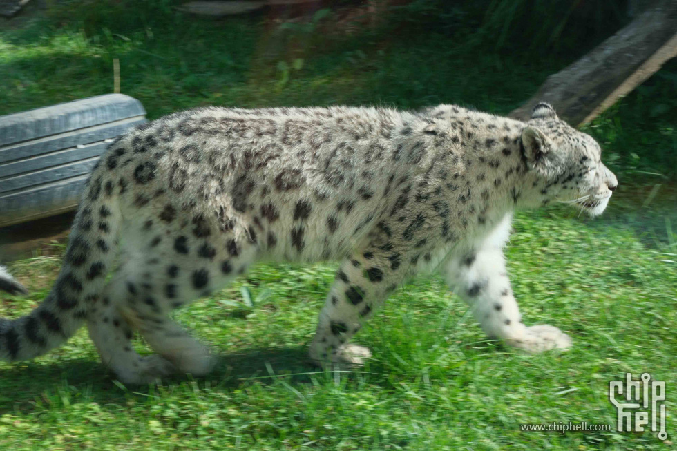 DSCF1345.jpg