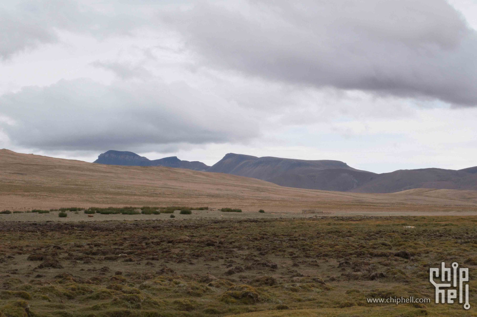 DSCF2518.jpg