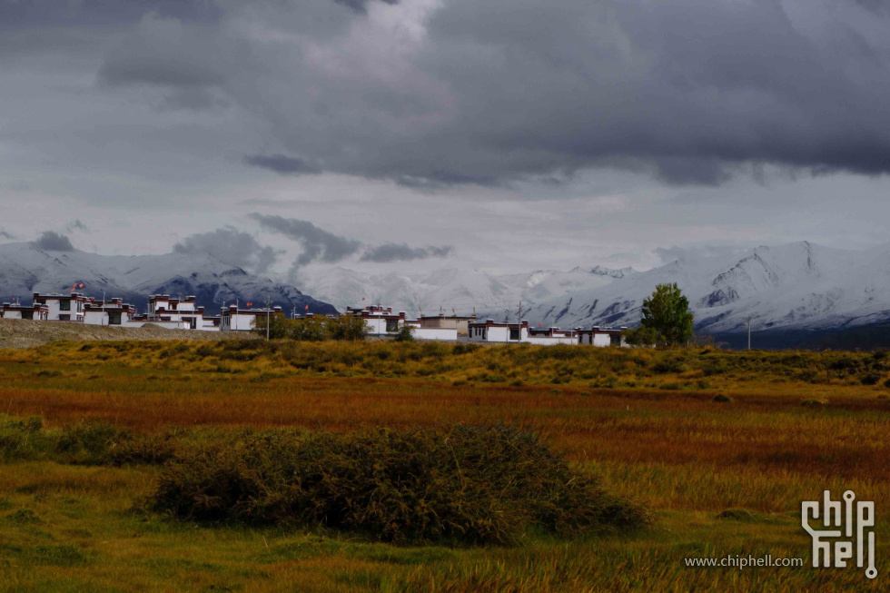 DSCF2581.jpg