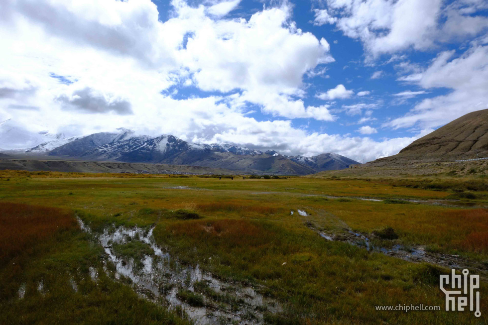 DSCF2593.jpg