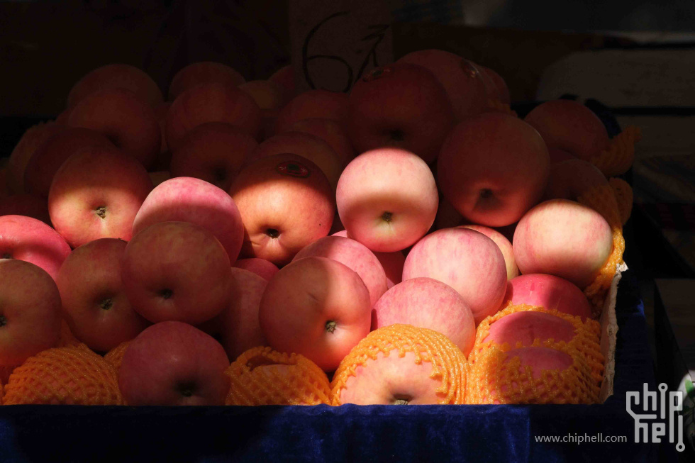 DSCF1149.jpg