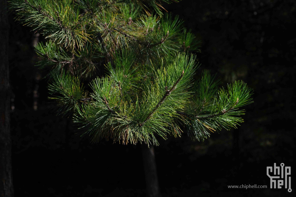 DSCF1291.jpg
