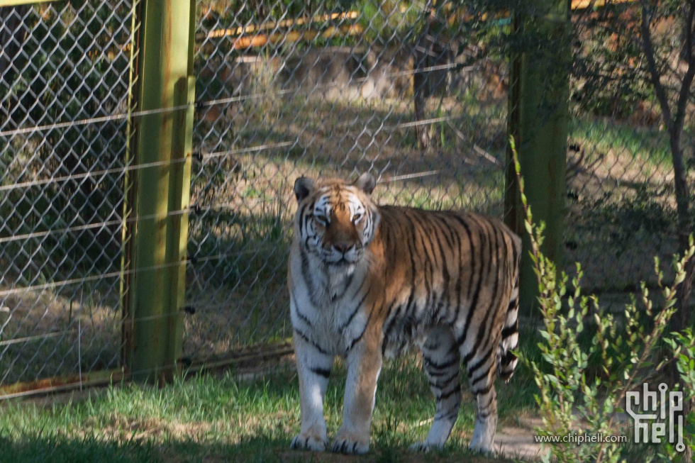 DSCF1406.jpg