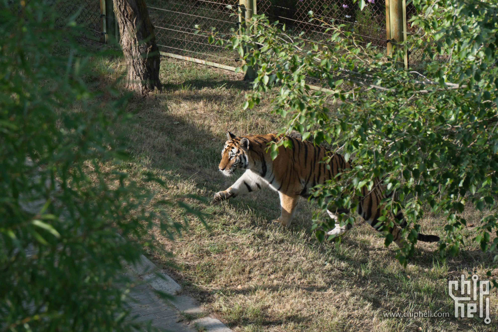 DSCF1411.jpg