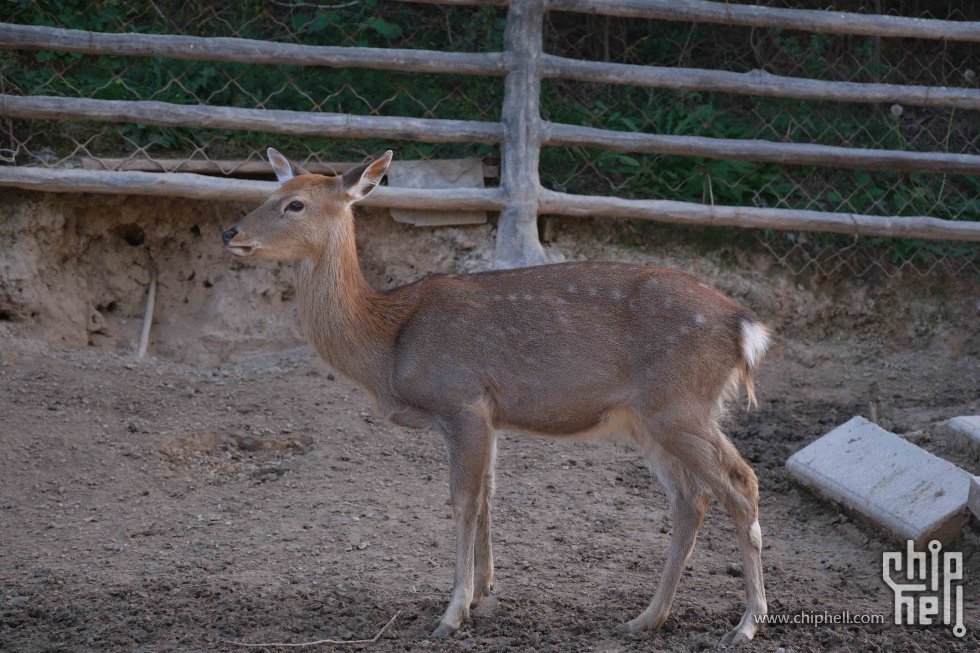 DSCF1450.jpg