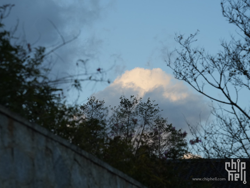 DSC03895_1.JPG