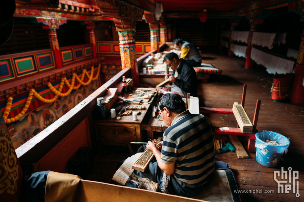 _CTK5583-已增强-降噪.jpg