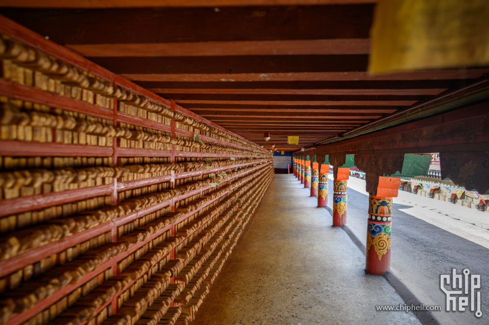 _CTK5678-已增强-降噪.jpg
