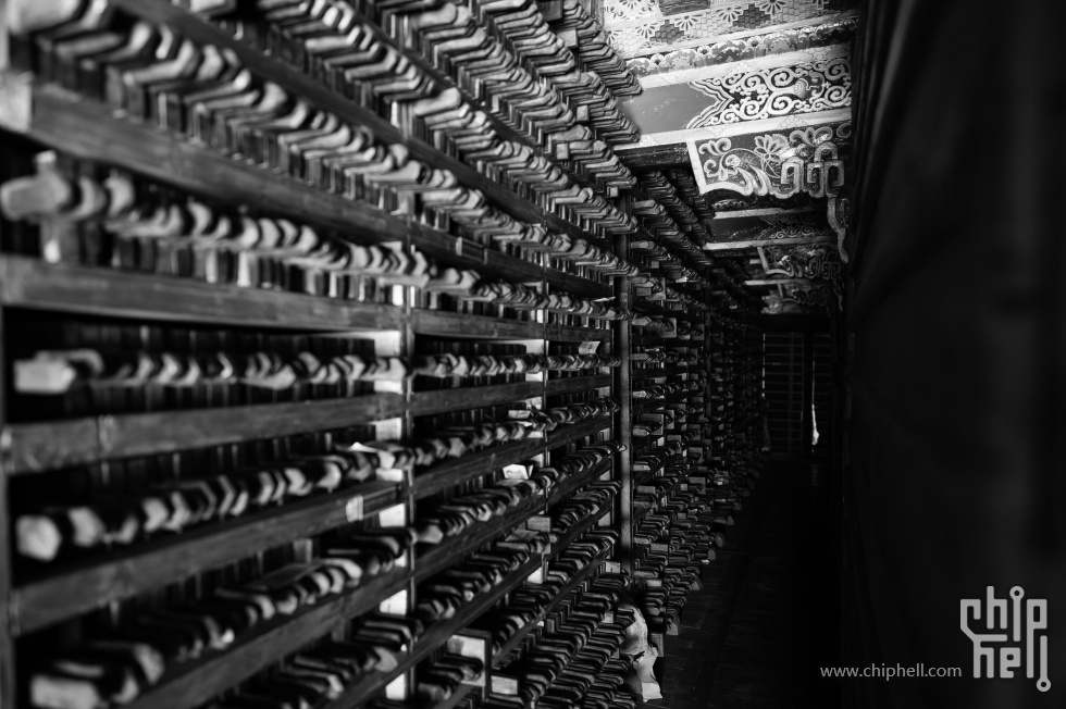 _CTK5662-已增强-降噪.jpg